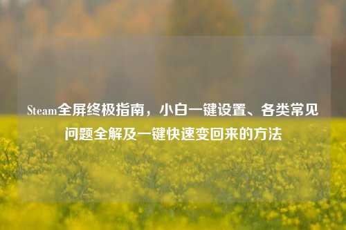 Steam全屏终极指南,小白一键设置、各类常见问题全解及一键快速变回来的 ***