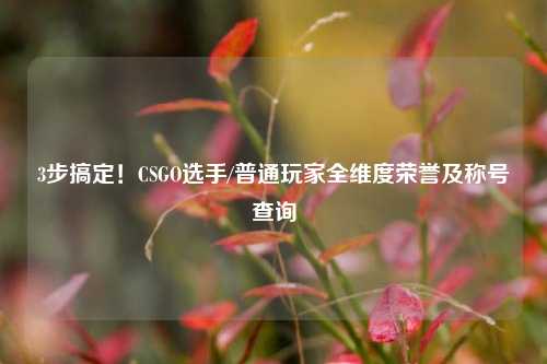 3步搞定!CSGO选手/普通玩家全维度荣誉及称号查询
