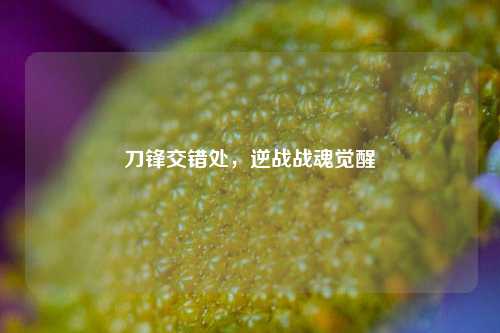 刀锋交错处,逆战战魂觉醒