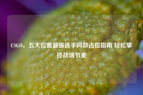 CSGO,五大位置最强选手同款占位指南 轻松掌控战场节奏