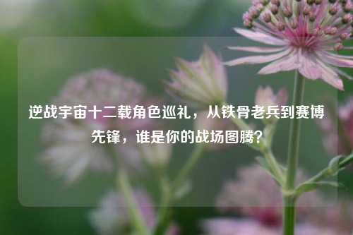逆战宇宙十二载角色巡礼,从铁骨老兵到赛博先锋,谁是你的战场图腾?