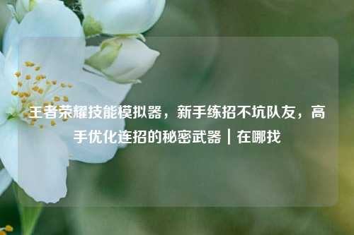 王者荣耀技能模拟器,新手练招不坑队友,高手优化连招的秘密武器|在哪找