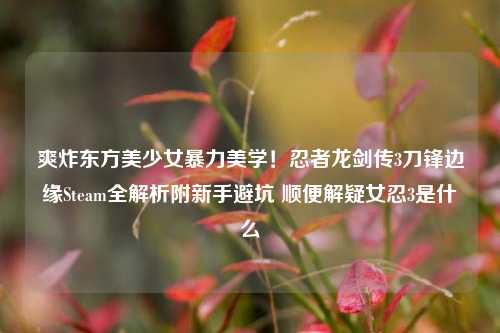 爽炸东方美少女暴力美学!忍者龙剑传3刀锋边缘Steam全解析附新手避坑 顺便解疑女忍3是什么