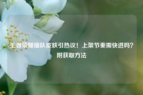王者荣耀插队皮肤引热议!上架节奏需快进吗?附获取 ***