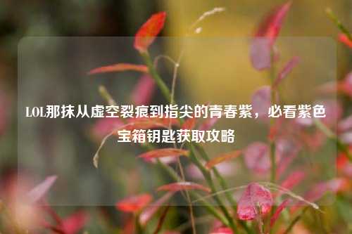 LOL那抹从虚空裂痕到指尖的青春紫,必看紫色宝箱钥匙获取攻略