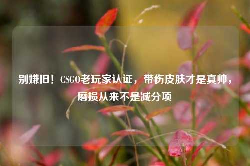 别嫌旧!CSGO老玩家认证,带伤皮肤才是真帅,磨损从来不是减分项