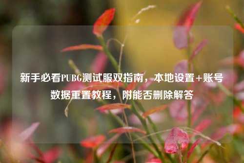 新手必看PUBG测试服双指南,本地设置+账号数据重置教程,附能否删除解答
