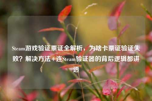 Steam游戏验证票证全解析,为啥卡票证验证失败?解决 *** +连Steam验证器的背后逻辑都讲透