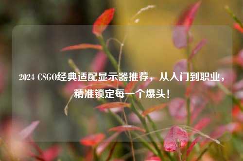 2024 CSGO经典适配显示器推荐,从入门到职业,精准锁定每一个爆头!