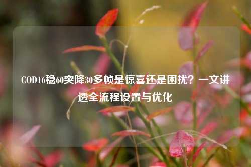 COD16稳60突降30多帧是惊喜还是困扰?一文讲透全流程设置与优化