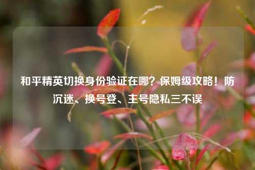 和平精英切换身份验证在哪?保姆级攻略!防沉迷、换号登、主号隐私三不误