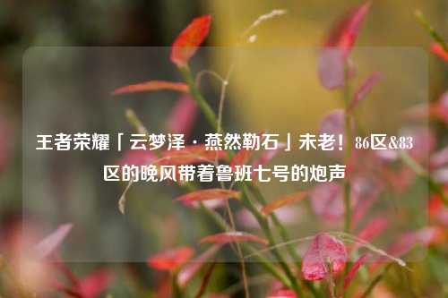 王者荣耀「云梦泽·燕然勒石」未老!86区&83区的晚风带着鲁班七号的炮声