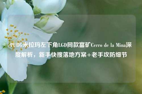 PUBG米拉玛左下角LGD同款富矿Cerro de la Mina深度解析,新手快搜落地方案+老手攻防细节