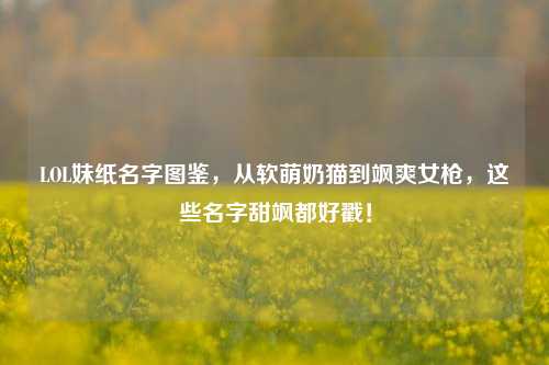LOL妹纸名字图鉴,从软萌奶猫到飒爽女枪,这些名字甜飒都好戳!