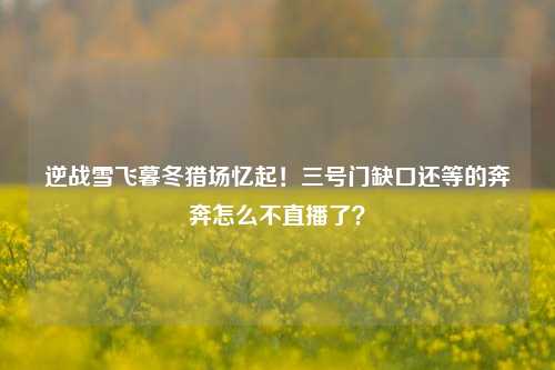 逆战雪飞暮冬猎场忆起!三号门缺口还等的奔奔怎么不直播了?