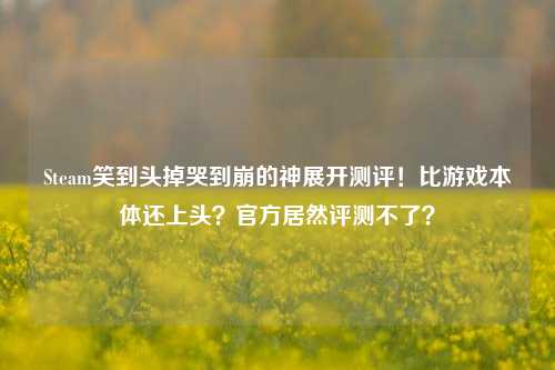 Steam笑到头掉哭到崩的神展开测评!比游戏本体还上头?官方居然评测不了?