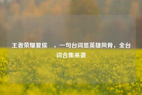 王者荣耀夏侯惇,一句台词显英雄风骨,全台词合集来袭