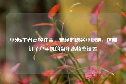 小米6王者高帧往事,曾经的峡谷小钢炮,这部钉子户手机的当年高帧率设置