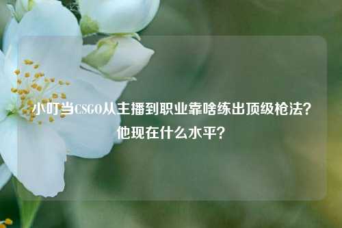 小叮当CSGO从主播到职业靠啥练出顶级枪法?他现在什么水平?