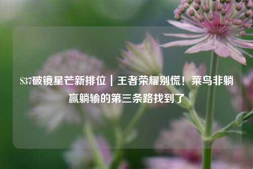 S37破镜星芒新排位|王者荣耀别慌!菜鸟非躺赢躺输的第三条路找到了