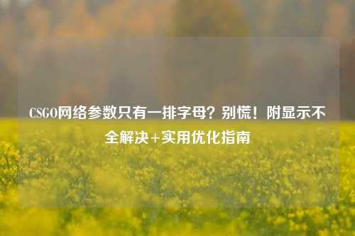 CSGO *** 参数只有一排字母?别慌!附显示不全解决+实用优化指南
