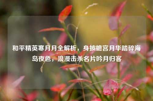 和平精英寒月月全解析,身披蟾宫月华踏碎海岛夜色,浪漫击杀名片吟月归客