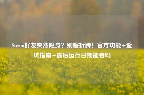 Steam好友突然隐身?别瞎折腾!官方功能+避坑指南+最后运行日期能看吗
