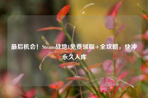 最后机会!Steam战地1免费领取+全攻略,快冲永久入库