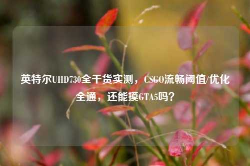 英特尔UHD730全干货实测,CSGO流畅阈值/优化全通,还能摸GTA5吗?