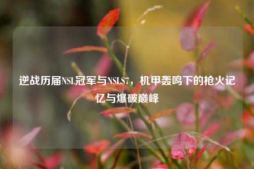 逆战历届NSL冠军与NSLS7,机甲轰鸣下的枪火记忆与爆破巅峰