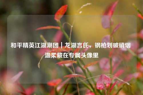 和平精英江湖潮团|龙湖言氏,钢枪划破硝烟 温柔藏在专属头像里