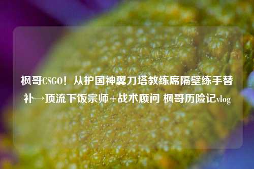 枫哥CSGO!从护国神翼刀塔教练席隔壁练手替补→顶流下饭宗师+战术顾问 枫哥历险记vlog