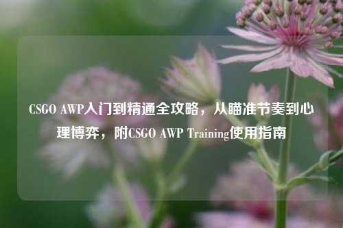 CSGO AWP入门到精通全攻略,从瞄准节奏到心理博弈,附CSGO AWP Training使用指南