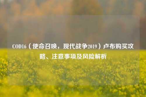 COD16(使命召唤,现代战争2019)卢布购买攻略、注意事项及风险解析