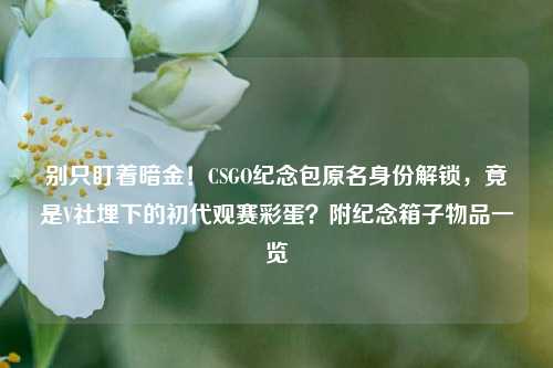 别只盯着暗金!CSGO纪念包原名身份解锁,竟是V社埋下的初代观赛彩蛋?附纪念箱子物品一览
