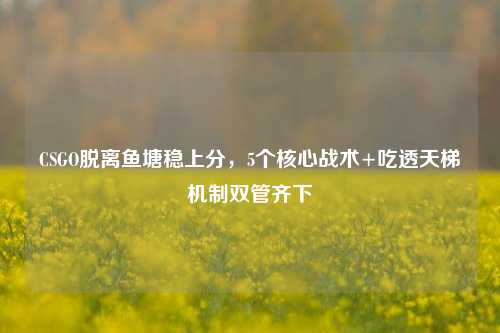 CSGO脱离鱼塘稳上分,5个核心战术+吃透天梯机制双管齐下