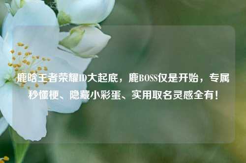 鹿晗王者荣耀ID大起底,鹿BOSS仅是开始,专属秒懂梗、隐藏小彩蛋、实用取名灵感全有!