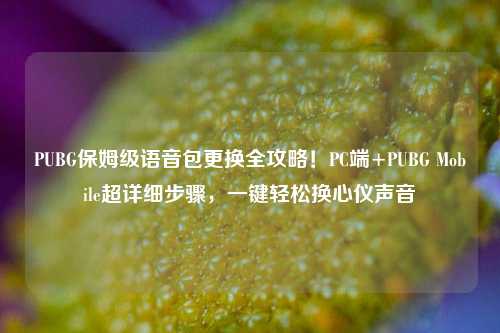 PUBG保姆级语音包更换全攻略!PC端+PUBG Mobile超详细步骤,一键轻松换心仪声音