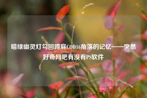 暗绿幽灵灯勾回蹲麻COD16角落的记忆——突然好奇网吧有没有PS软件