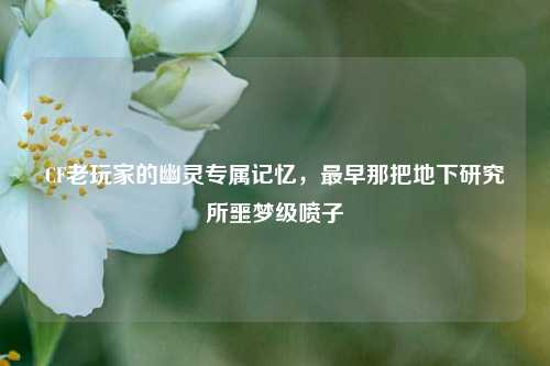 CF老玩家的幽灵专属记忆,最早那把地下研究所噩梦级喷子