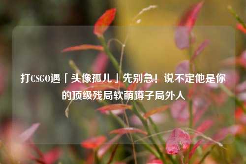 打CSGO遇「头像孤儿」先别急!说不定他是你的顶级残局软萌蹲子局外人