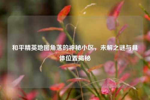 和平精英地图角落的神秘小区,未解之谜与具***置揭秘