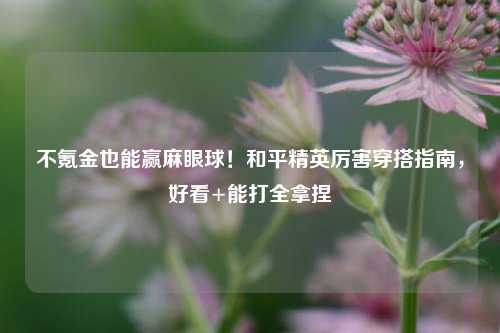 不氪金也能赢麻眼球!和平精英厉害穿搭指南,好看+能打全拿捏