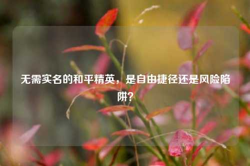 无需实名的和平精英,是自由捷径还是风险陷阱?