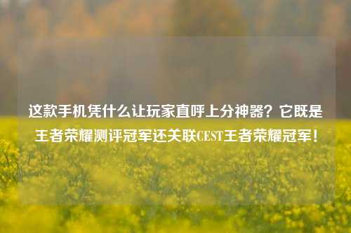 这款手机凭什么让玩家直呼上分神器?它既是王者荣耀测评冠军还关联CEST王者荣耀冠军!