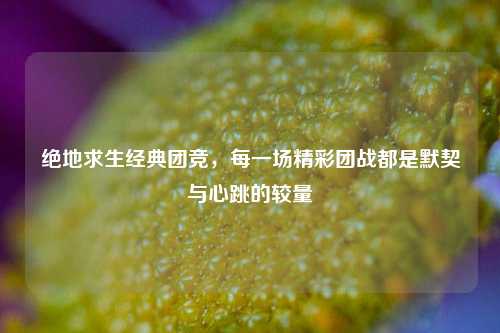 绝地求生经典团竞,每一场精彩团战都是默契与心跳的较量