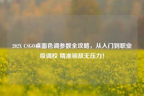 202X CSGO桌面色调参数全攻略,从入门到职业级调校 精准锁敌无压力!