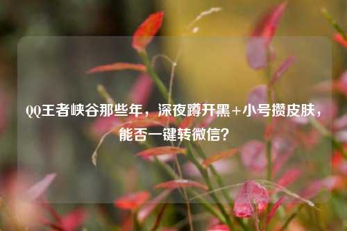 *** 王者峡谷那些年,深夜蹲开黑+小号攒皮肤,能否一键转微信?
