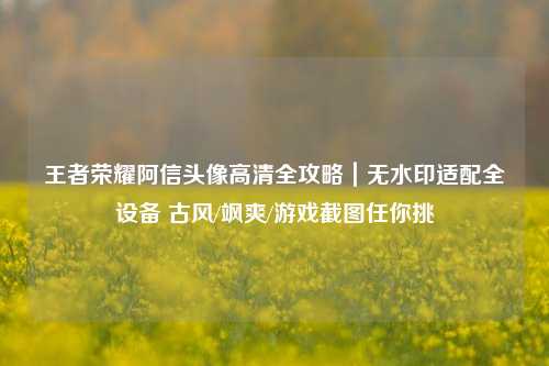 王者荣耀阿信头像高清全攻略|无水印适配全设备 古风/飒爽/游戏截图任你挑