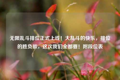 无限乱斗排位正式上线!大乱斗的快乐,排位的胜负欲,这次我们全都要!附段位表